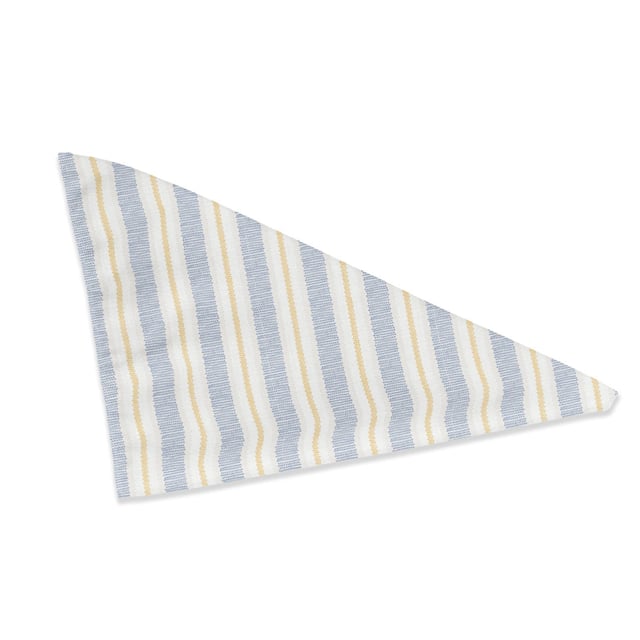 Blue Striped Bandana