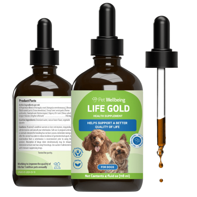 Life Gold - Trusted Care for Dog Cancer