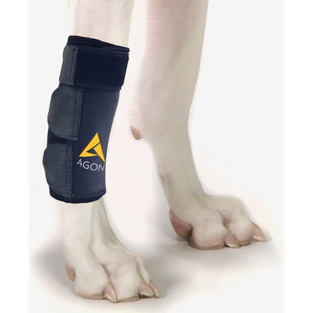 Agon Front Leg Brace & Wound Protection Paw Compression & Wrap for Dogs