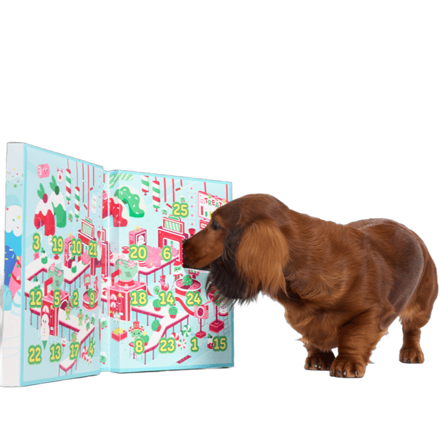Season's Sweetings Advent Calendar