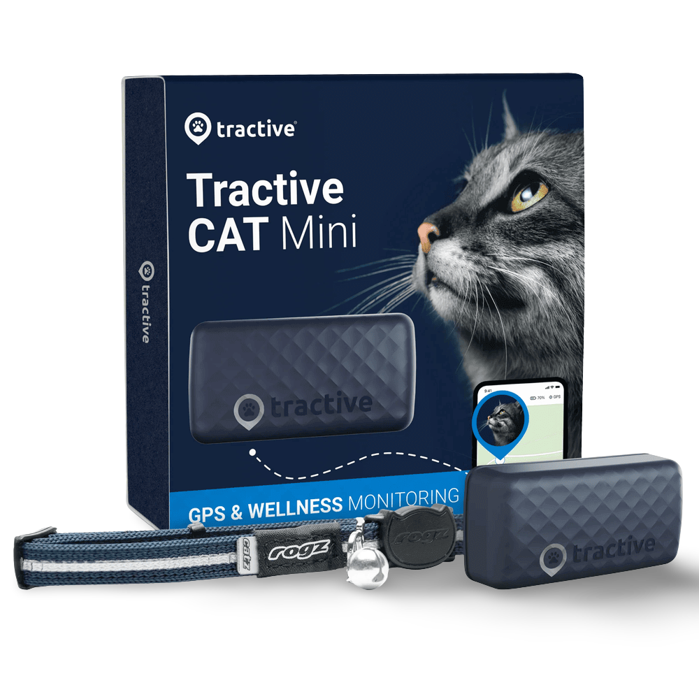 Mini Gps 4 Midnight Blue Cat Tracker