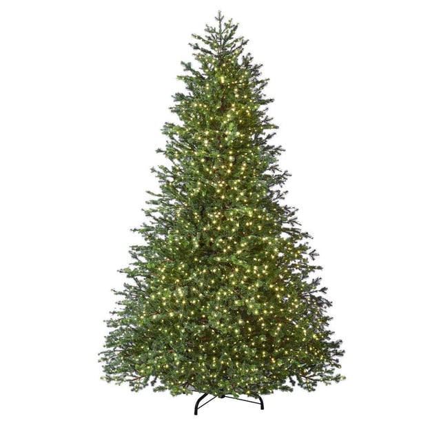 7.5 ft Elegant Grand Fir LED Pre-Lit Artificial Christmas Tree with Timer with 2000 Warm White Lights