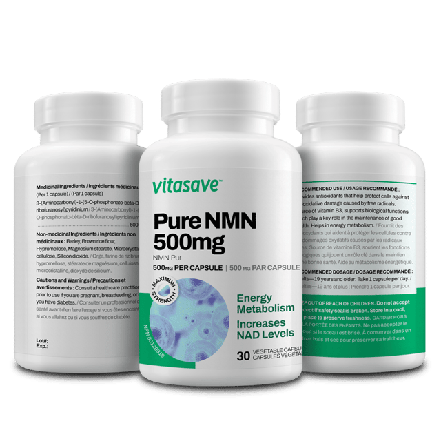 The Anti-Aging Protocol