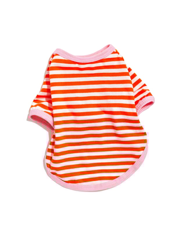 Classic Stripe Tee (NEW)