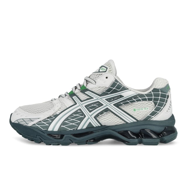 Gel-Nimbus 10.1 GTX