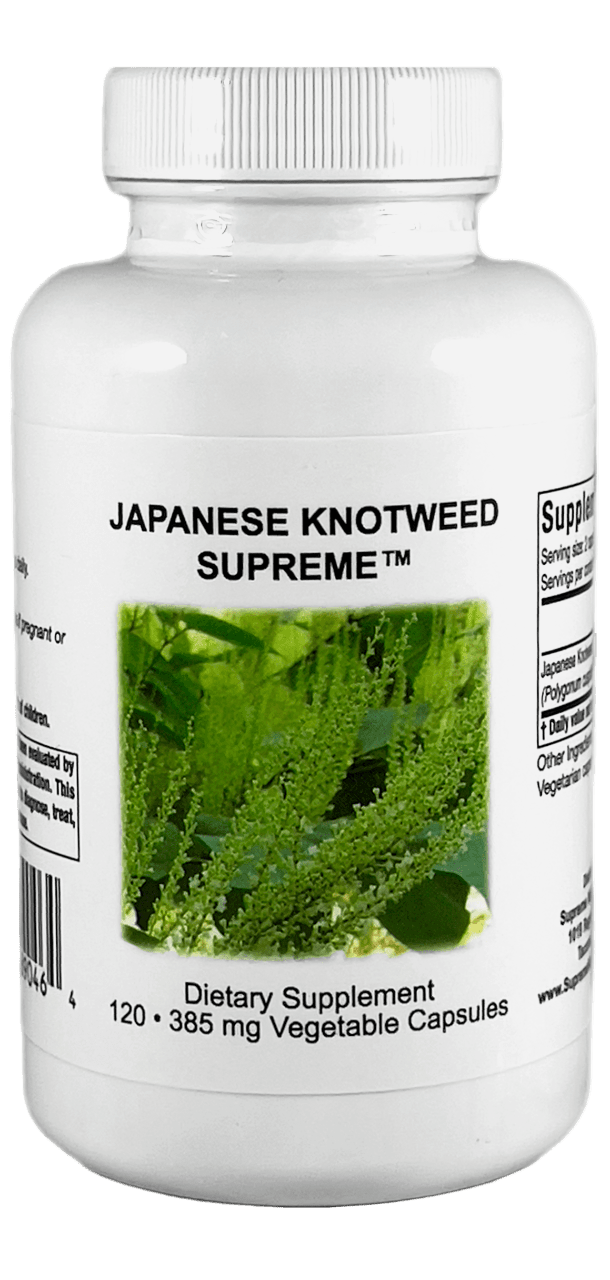 Japanese Knotweed Supreme - 120 Capsules