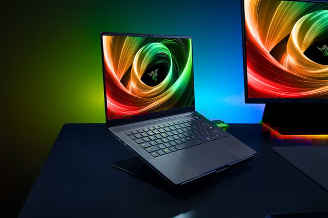 Razer Blade 17 - QHD 165Hz - GeForce RTX 3060 - Black