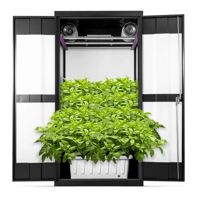 SuperFlower Hydroponic Grow Box 36” x 24” x 72”