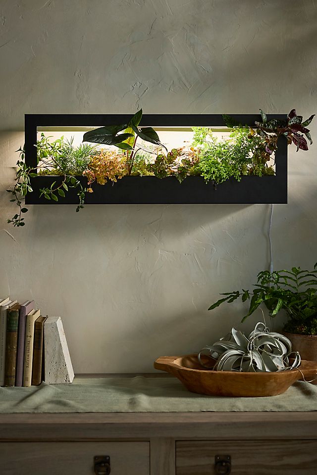 Modern Sprout Growframe Grow Light + Planter