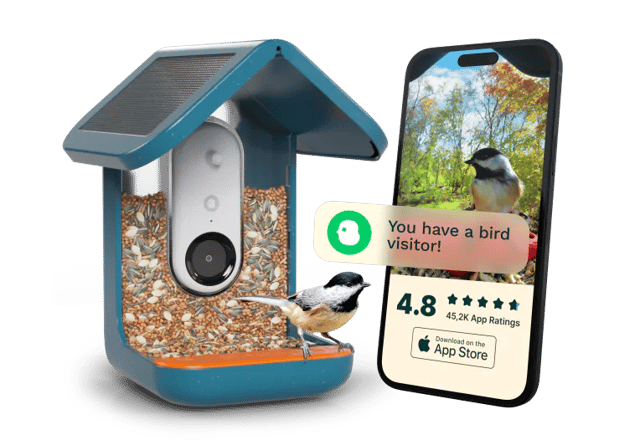Smart Bird Feeder with Solar Roof