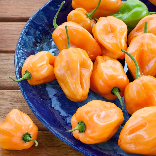 Habanero Hot Pepper (2 Pack)