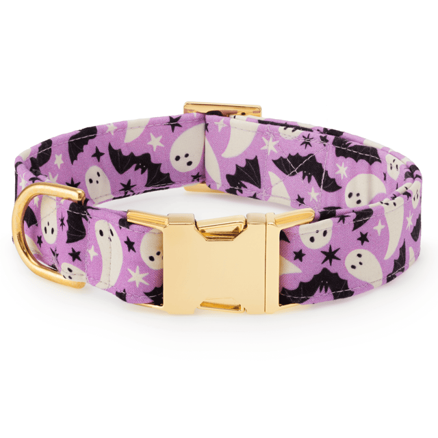 Spooky Season Dog Collar