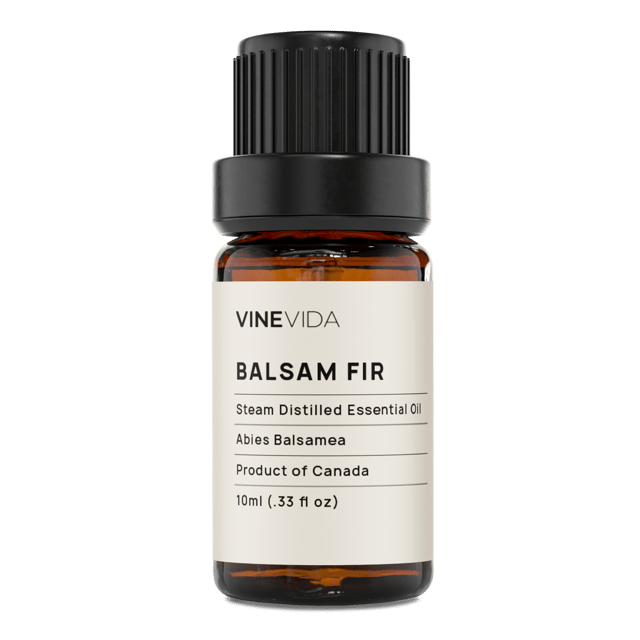 Balsam Fir Essential Oil