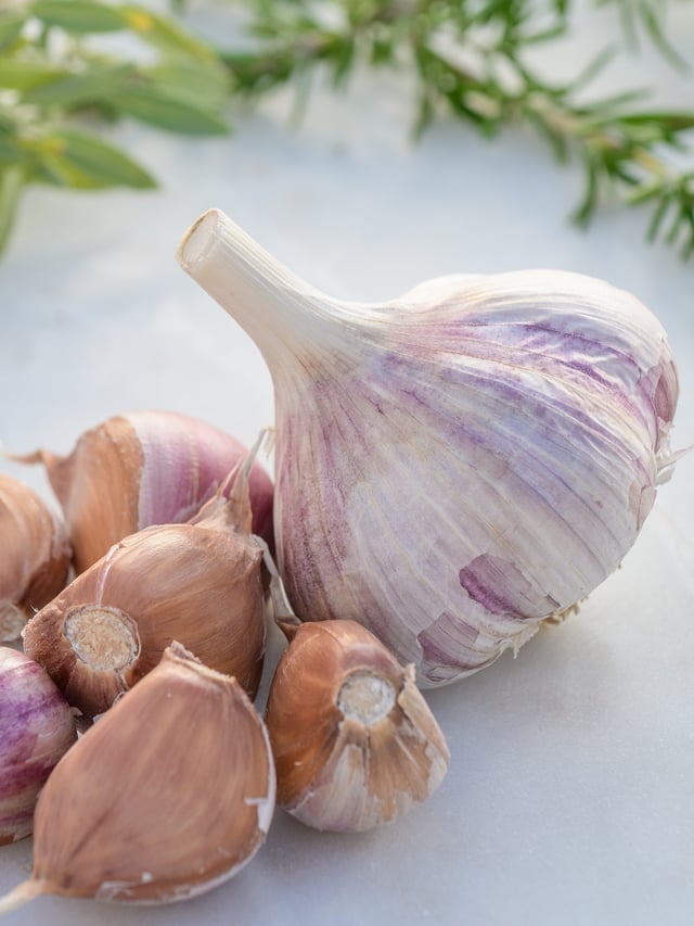 Garlic, Russian Red