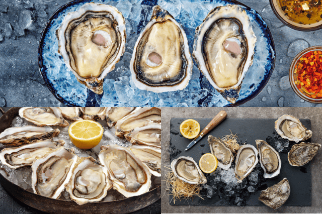 Oyster Flight