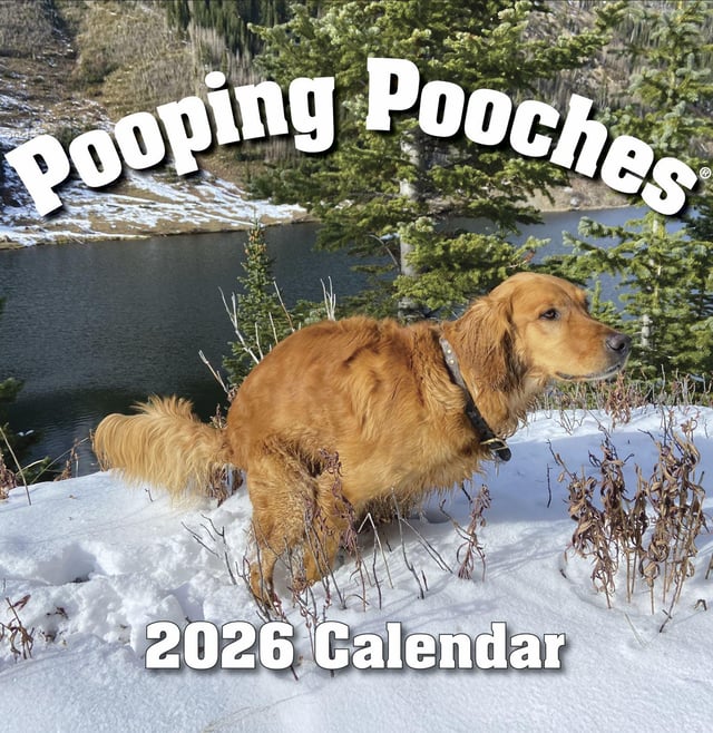2026 Pooping Pooches Dog Calendar, White Elephant Gag Gift Exchange or Yankee Swap