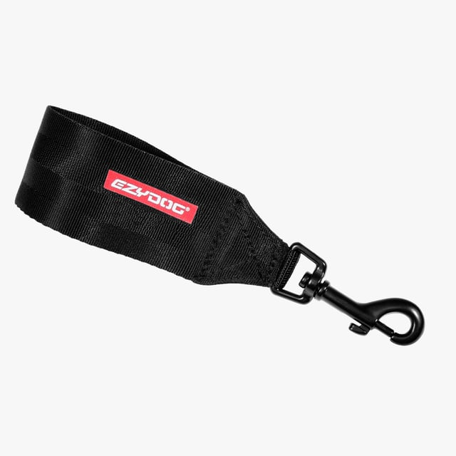 Seat Belt Restraint