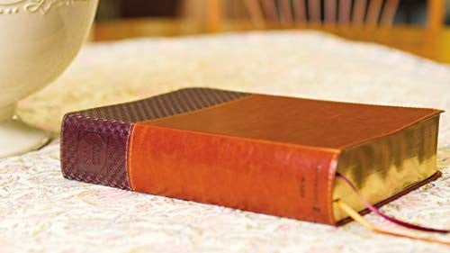 NIV Study Bible, Fully Revised Edition (Study Deeply. Believe Wholeheartedly.), Large Print, Leathersoft, Brown, Red Letter, Comfort Print