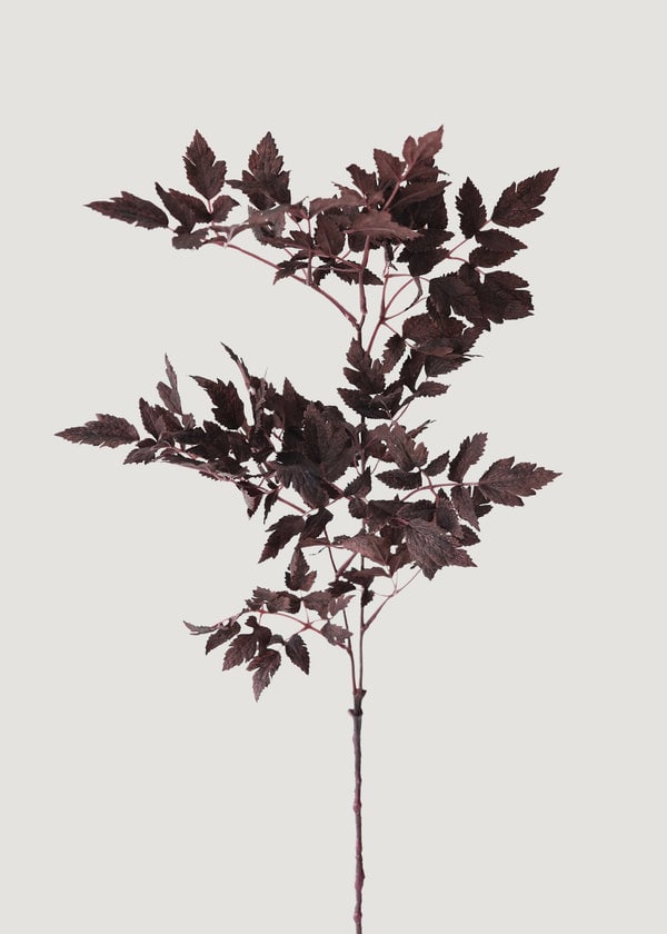 Plum Fake Cimicifuga Ramosa Leaves - 31"