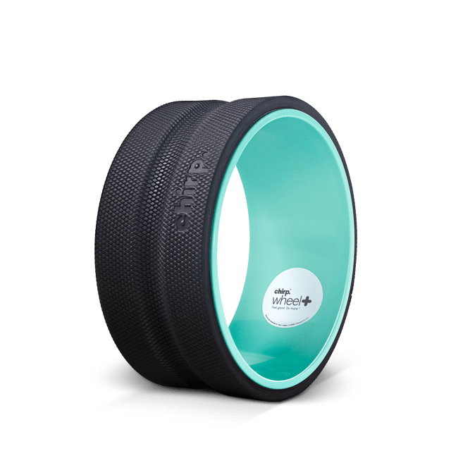 Chirp Wheel+ 10" Firm