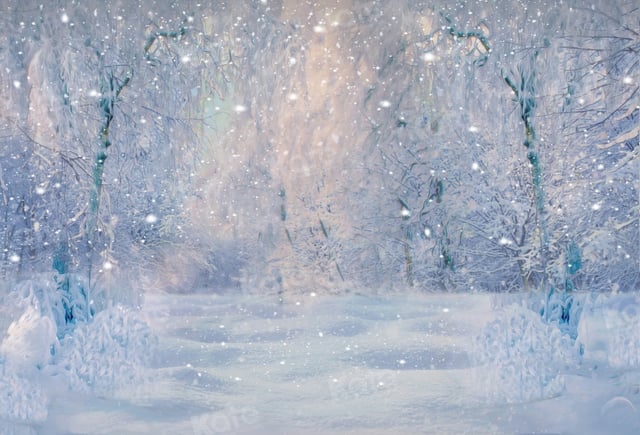 Kate Winter Snow Forest Dusk Backdrop for Photography