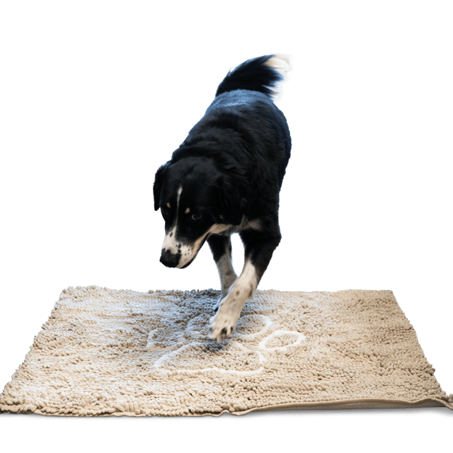 Dog Door Mat