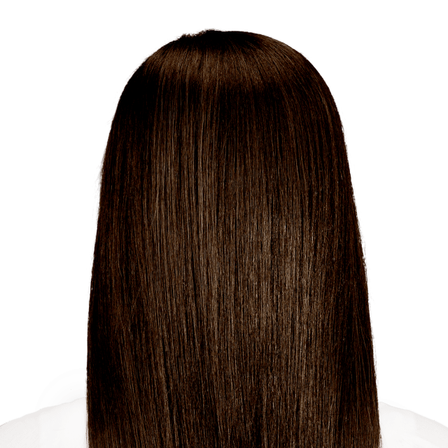 Dark Chocolate Brown Hair Color | Bolzano Brown | Hints of Gold