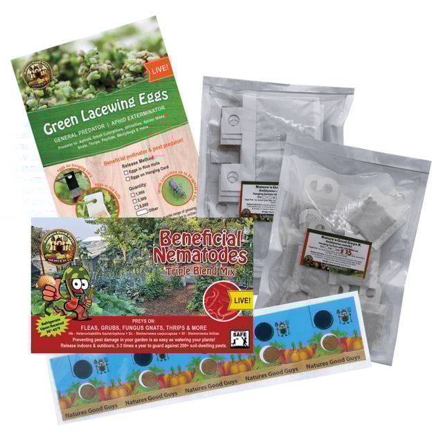 Indoor Garden Pack - 1,000 Green Lacewings, 25 A. cucumeris Sachets, 25 A. swirskii Sachets, 5M Nematodes, & 5 Good Bug Artemia Diet Tabs