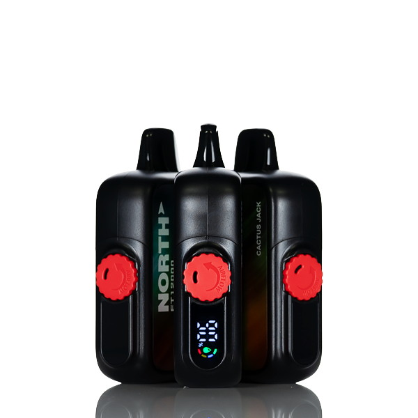 North FT12K 12000 Puffs Disposable Vape