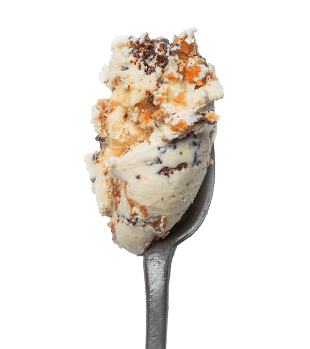 Double Peanut Butter Chip