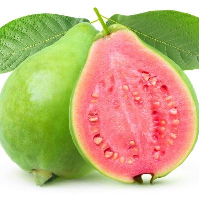 Tropical Pink Guava Tree