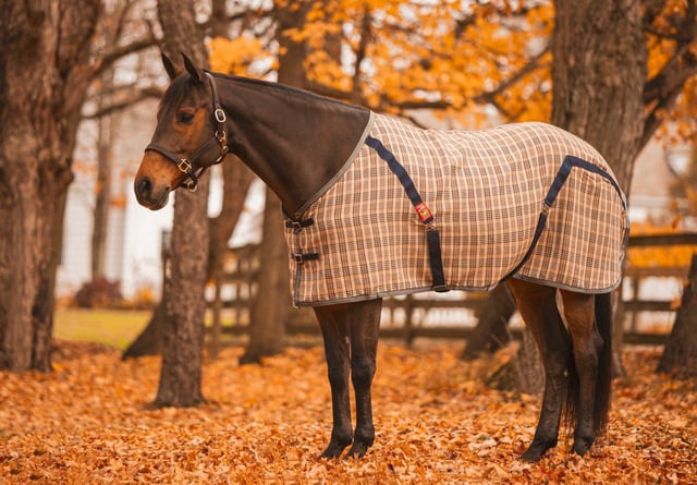 5/A Baker Original Stable Sheet