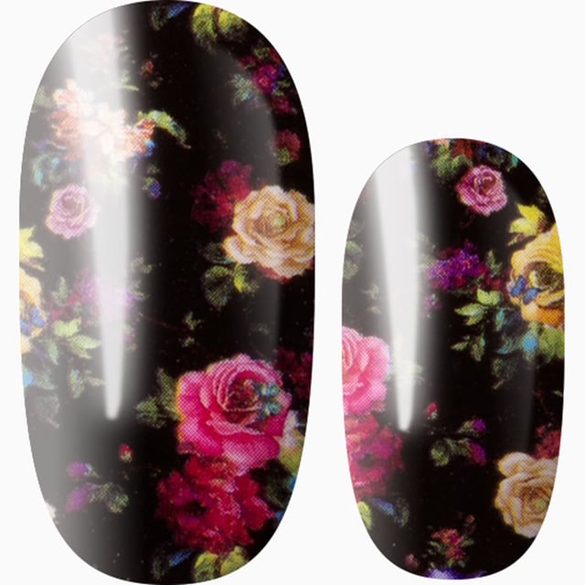 Night Garden
