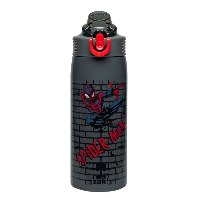 Sage Insulated Bottle, 19 oz.