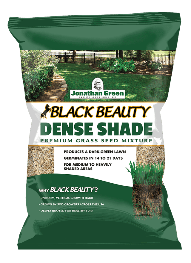 Black Beauty® Dense Shade Grass Seed