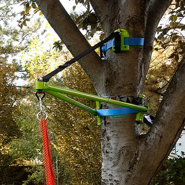 The Instant Tree Branch
