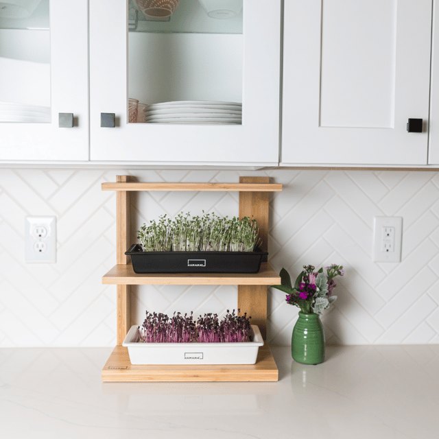 Grow Shelf Mini
