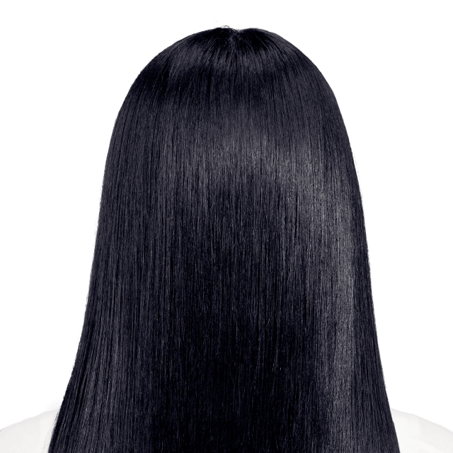 Perugia Black - Sapphire black hair color with hints of blue.