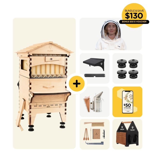 Deluxe Bundle