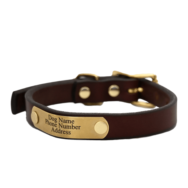 Personalized Small Dog Collar