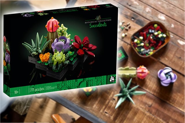 Succulent plant toy building blocks set