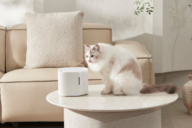 Pet Water Fountain