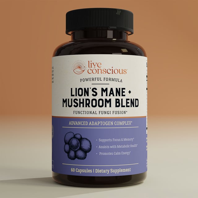 Lion's Mane + Mushroom Blend