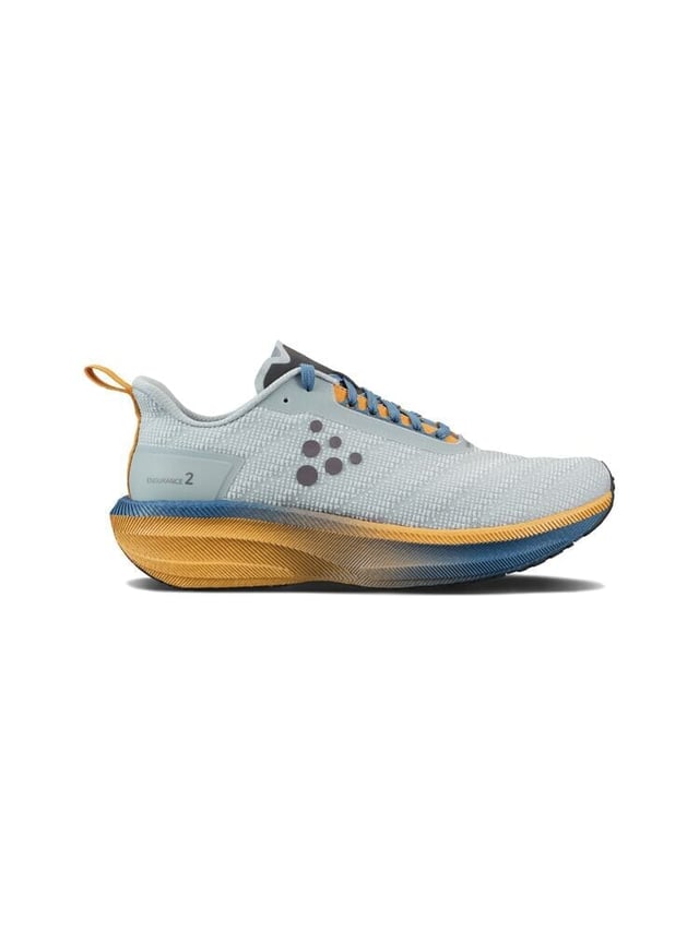 MEN'S ENDURANCE 2 RUNNING SHOE