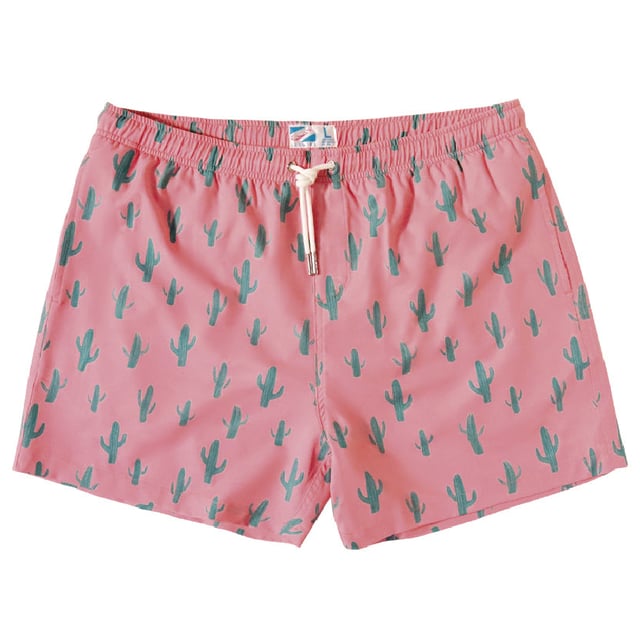 Cactus 2.0