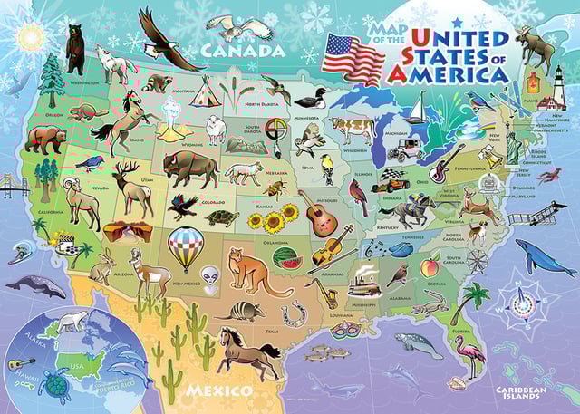 USA Map (tray) | 35 Piece Tray