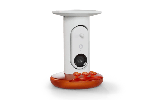 Smart Hummingbird Feeder PRO