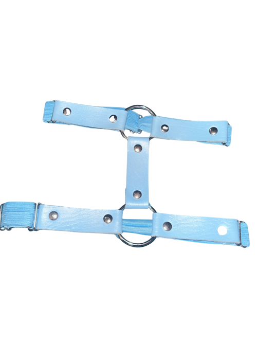 Baby blue leg garter