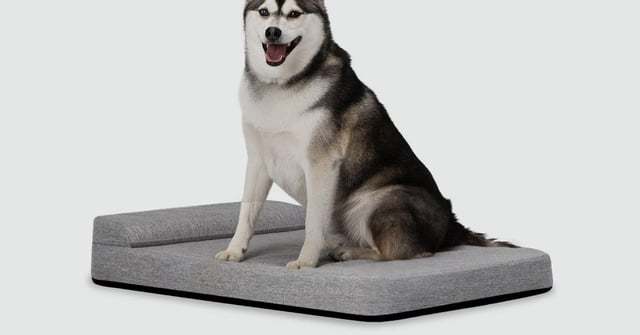 Bolstr Evolv Bed