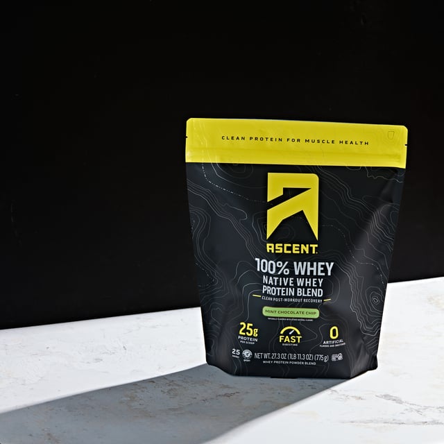 Mint Chocolate Chip Whey Protein Powder